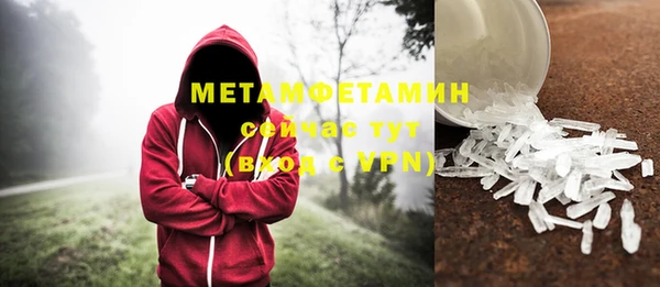 сатива Каменногорск