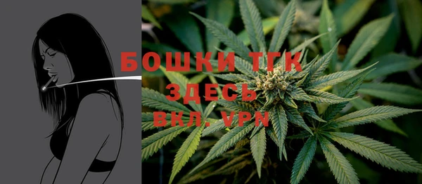 сатива Каменногорск