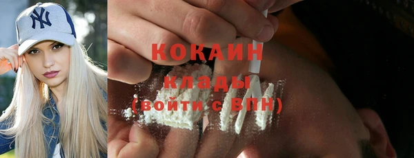 сатива Каменногорск
