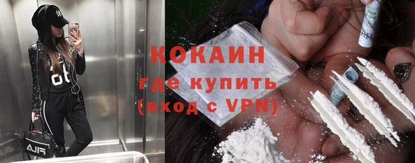 сатива Каменногорск