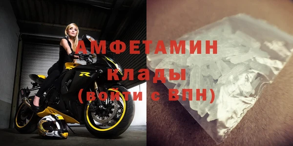 сатива Каменногорск