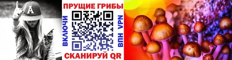 Галлюциногенные грибы Cubensis  Купить  Дальнереченск 
